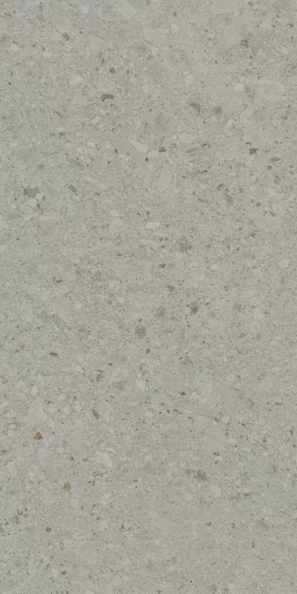 Керамогранит DD591420R Чеппо ди Гре серый матовый обрезной 119,5x238,5x0,9
