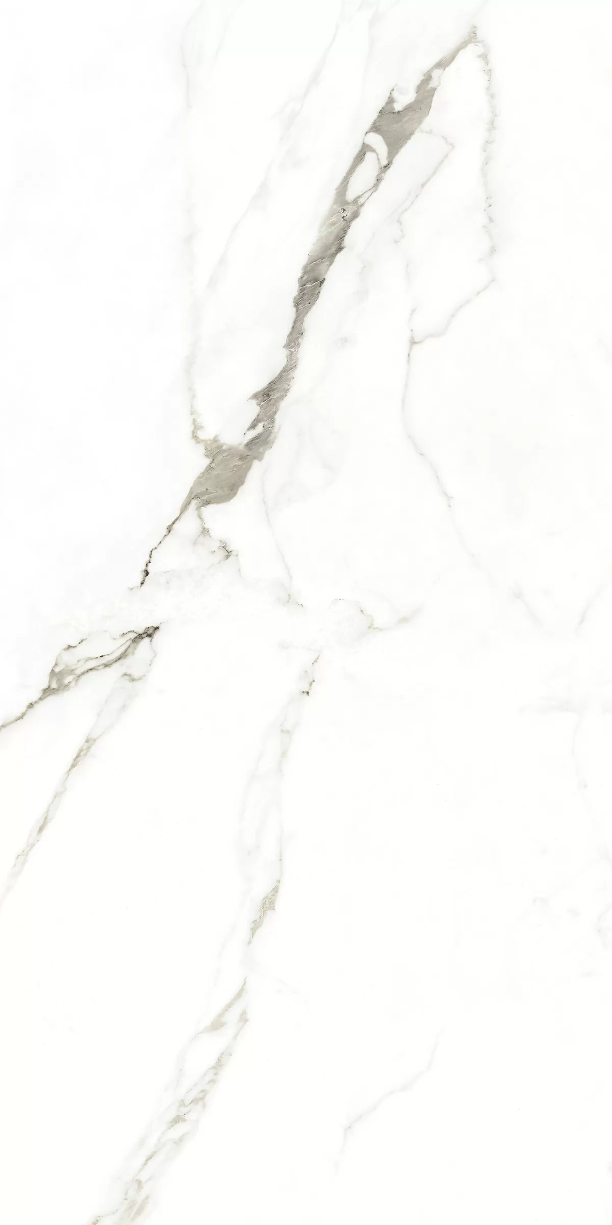 Керамогранит 893 Fantastic White 120x60