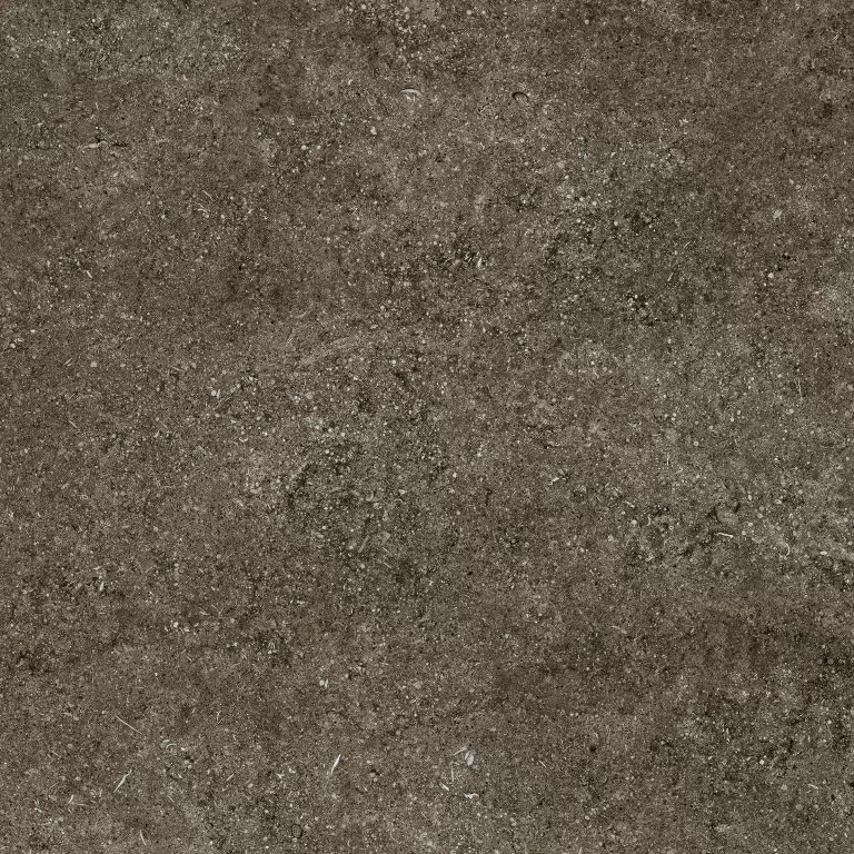 Керамогранит 768380 Sensi Brown Fossil R+PTV Ret 80x80
