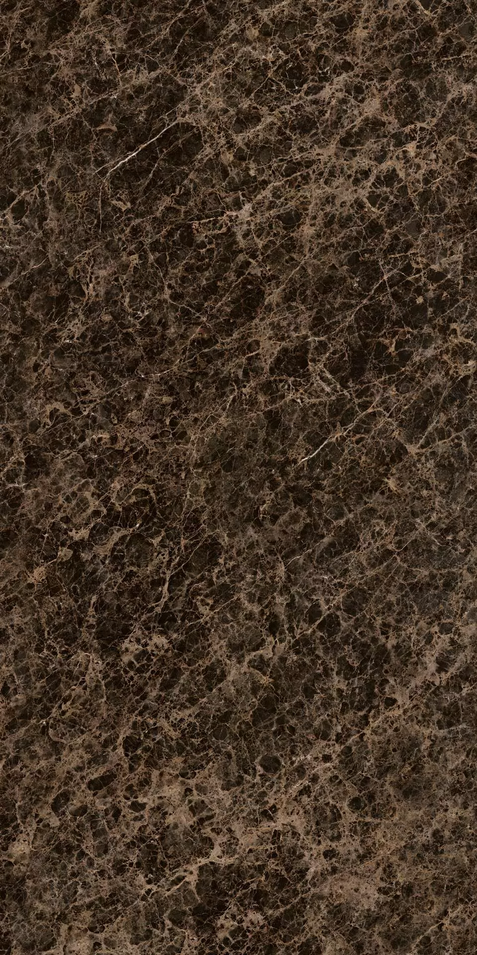 Керамогранит FMAA100U010A2 Emperador Lucido 150x300
