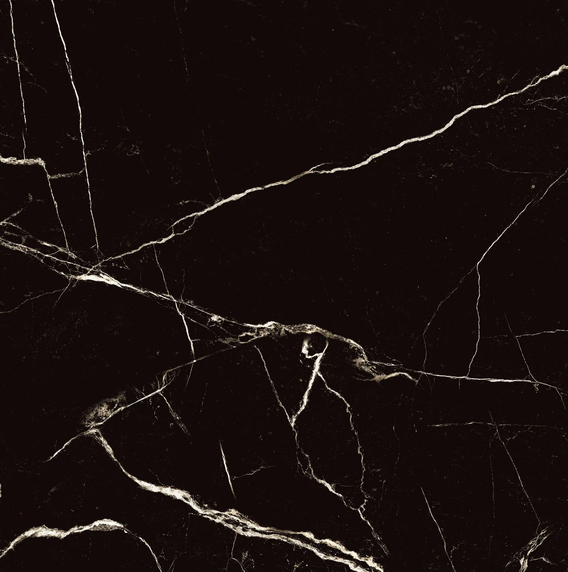 Керамогранит HG2008-A Black Spinder High Gloss 60x60
