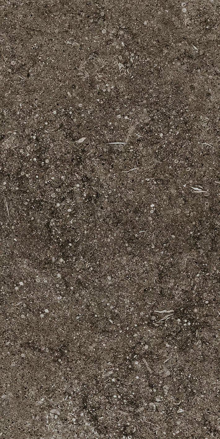 Керамогранит 768354 Sensi Brown Fossil R+PTV Ret 40x80