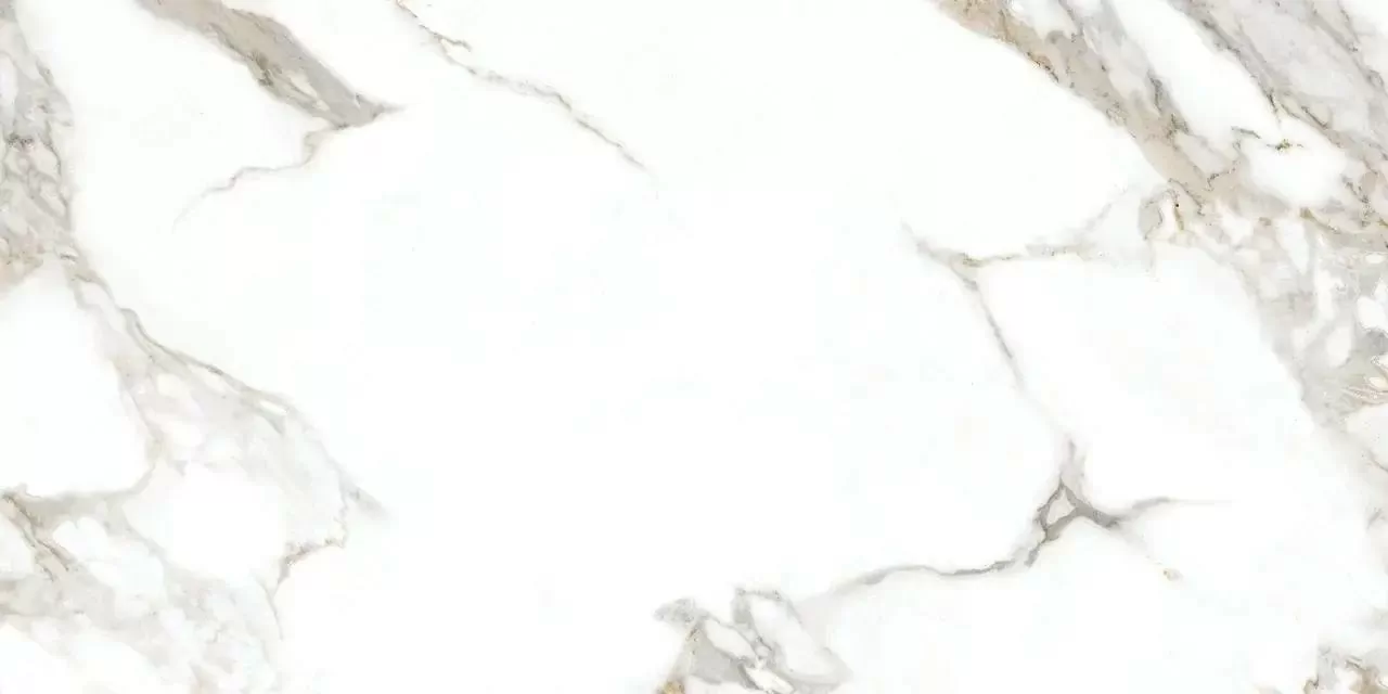 Керамогранит F2A A0ZS 000C Carrera White Matt Rect 60x120