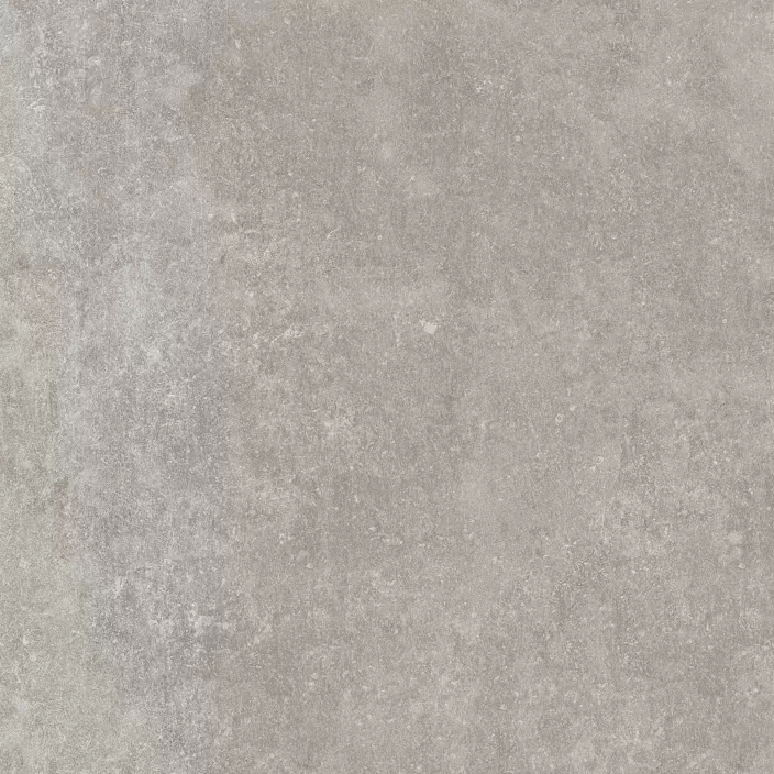 Керамогранит 100324749 Verbier Silver 59.6x59.6