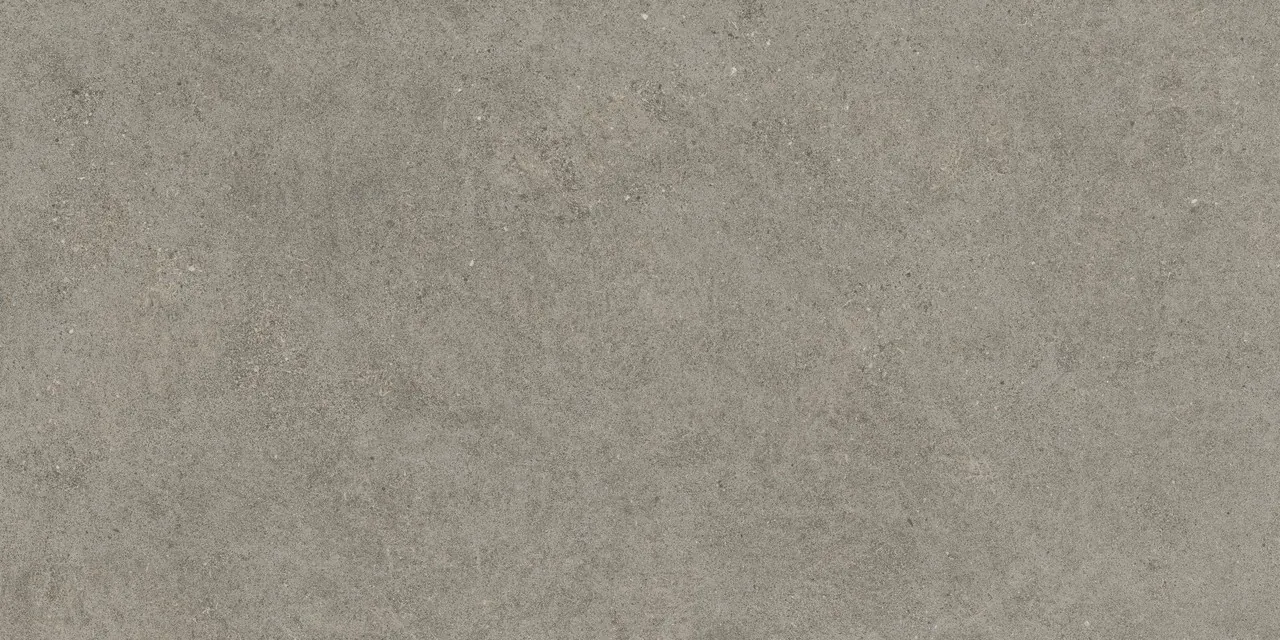 Керамогранит 610010005813 Forte dei Marmi Rock Lunar Grey Matt Rett 80x160