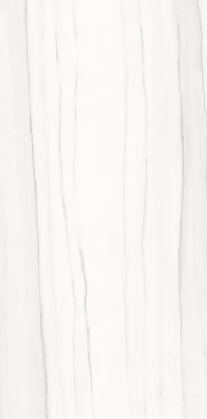 Керамогранит PL612517 Zebrino Bianco Luc 120x60