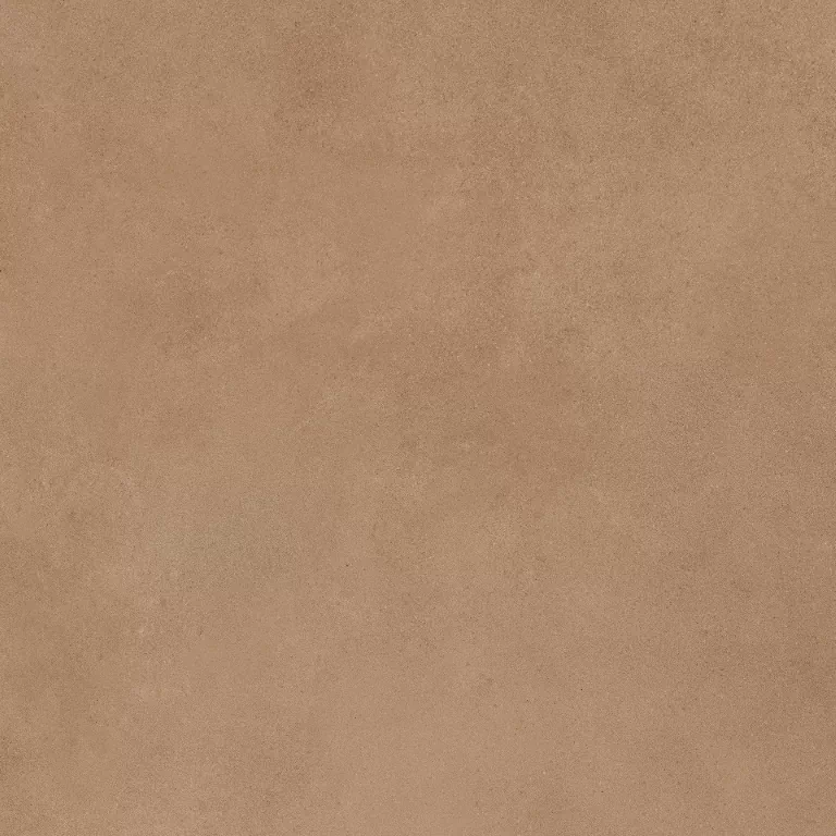 Керамогранит Mediterranea Coral PW R 60x60