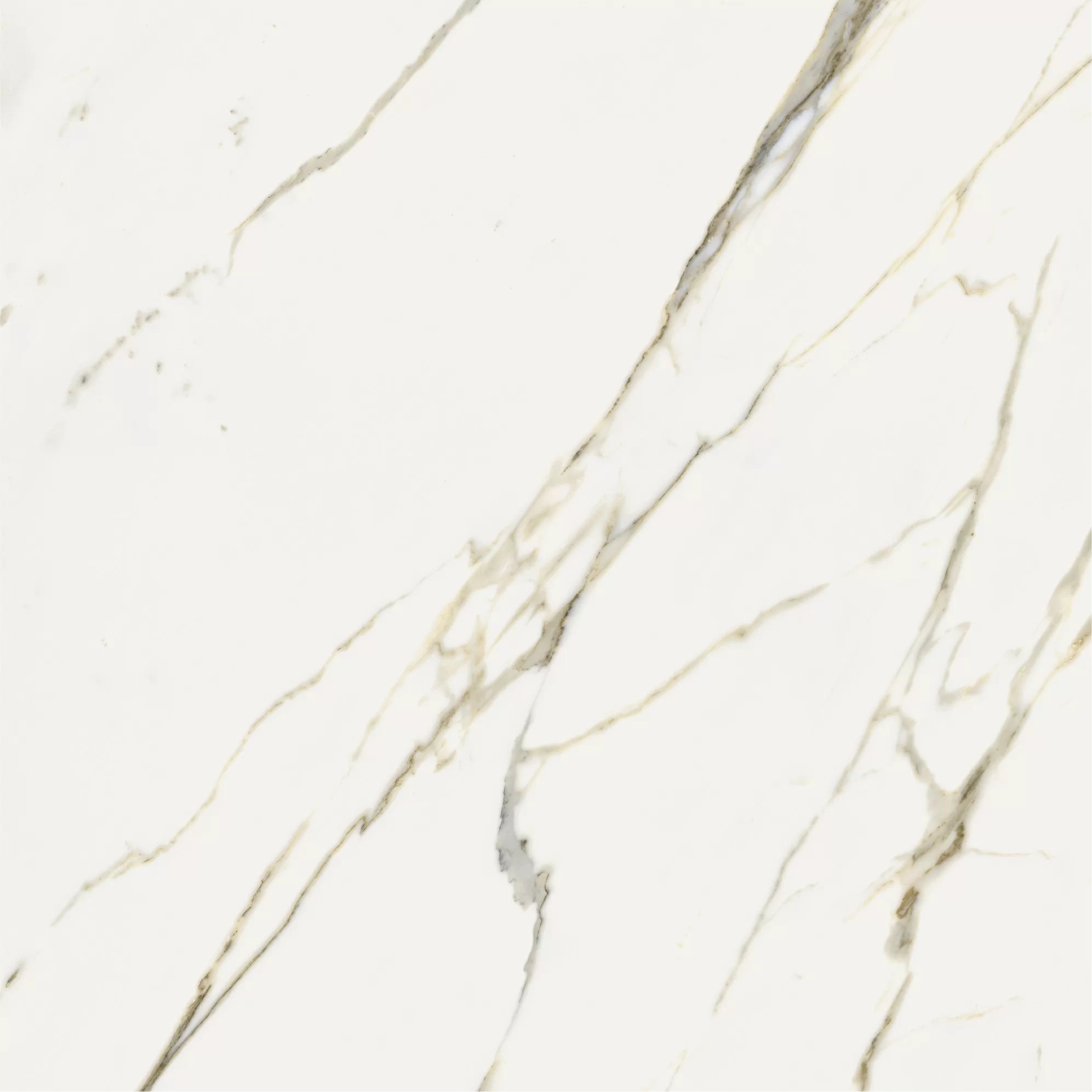 Керамогранит 600010002387 Stellaris Calacatta Gold Nat Ret 120x120