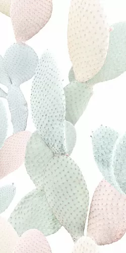 Керамогранит 4100712 Marcela 50x100