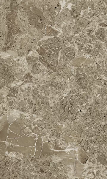Плитка Saloni brown 02 30*50