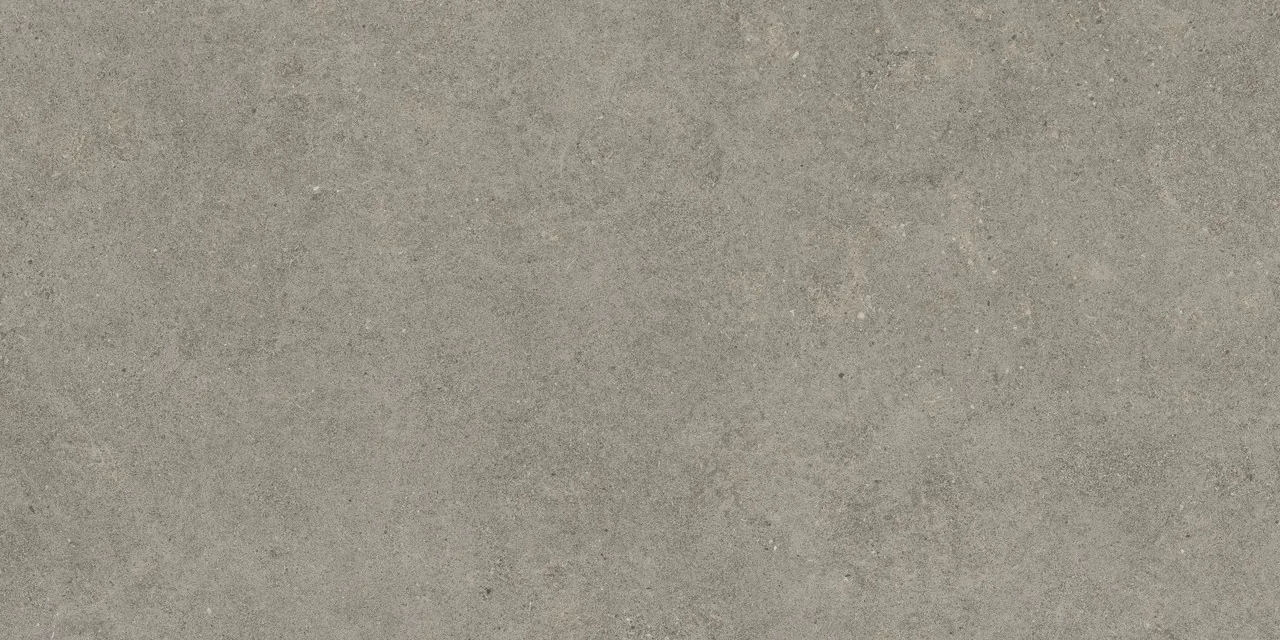 Керамогранит 610010005813 Forte dei Marmi Rock Lunar Grey Matt Rett 80x160