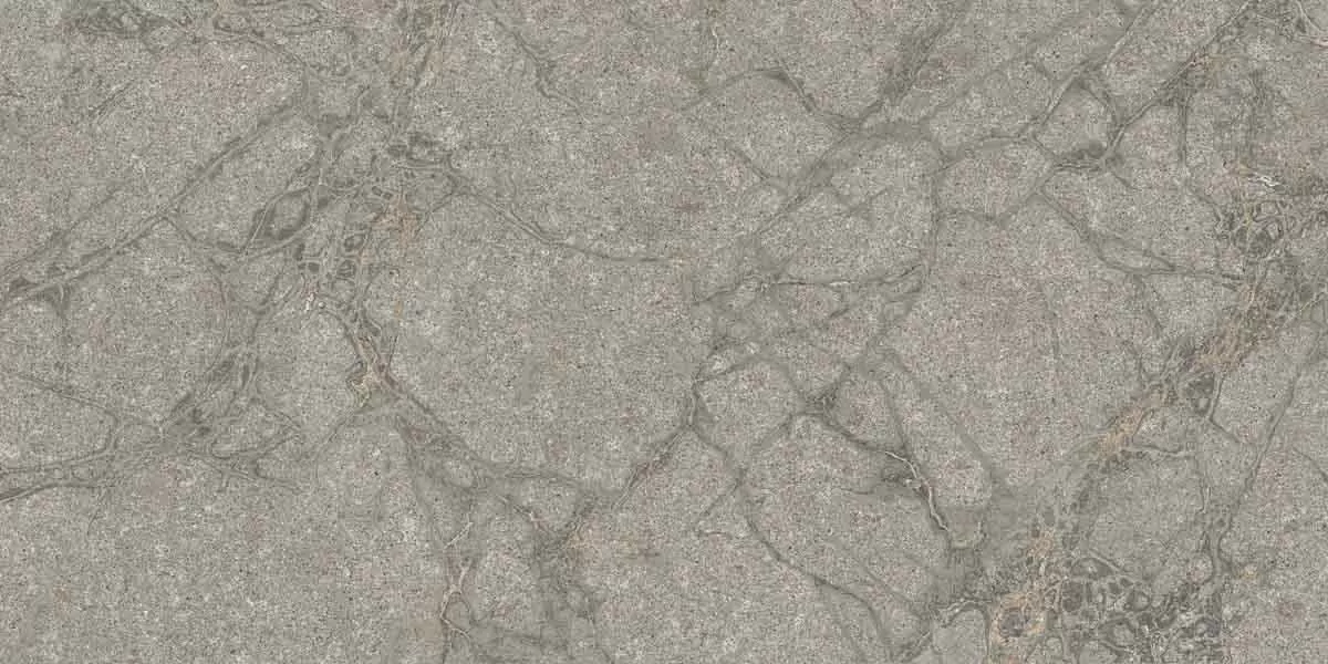 Керамогранит PF60011858 Supreme Memories Grey Soapstone Ant Ret 60x120