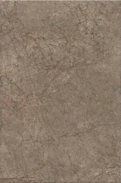 Плитка 8354 Каприччо коричневый глянцевый 20x30