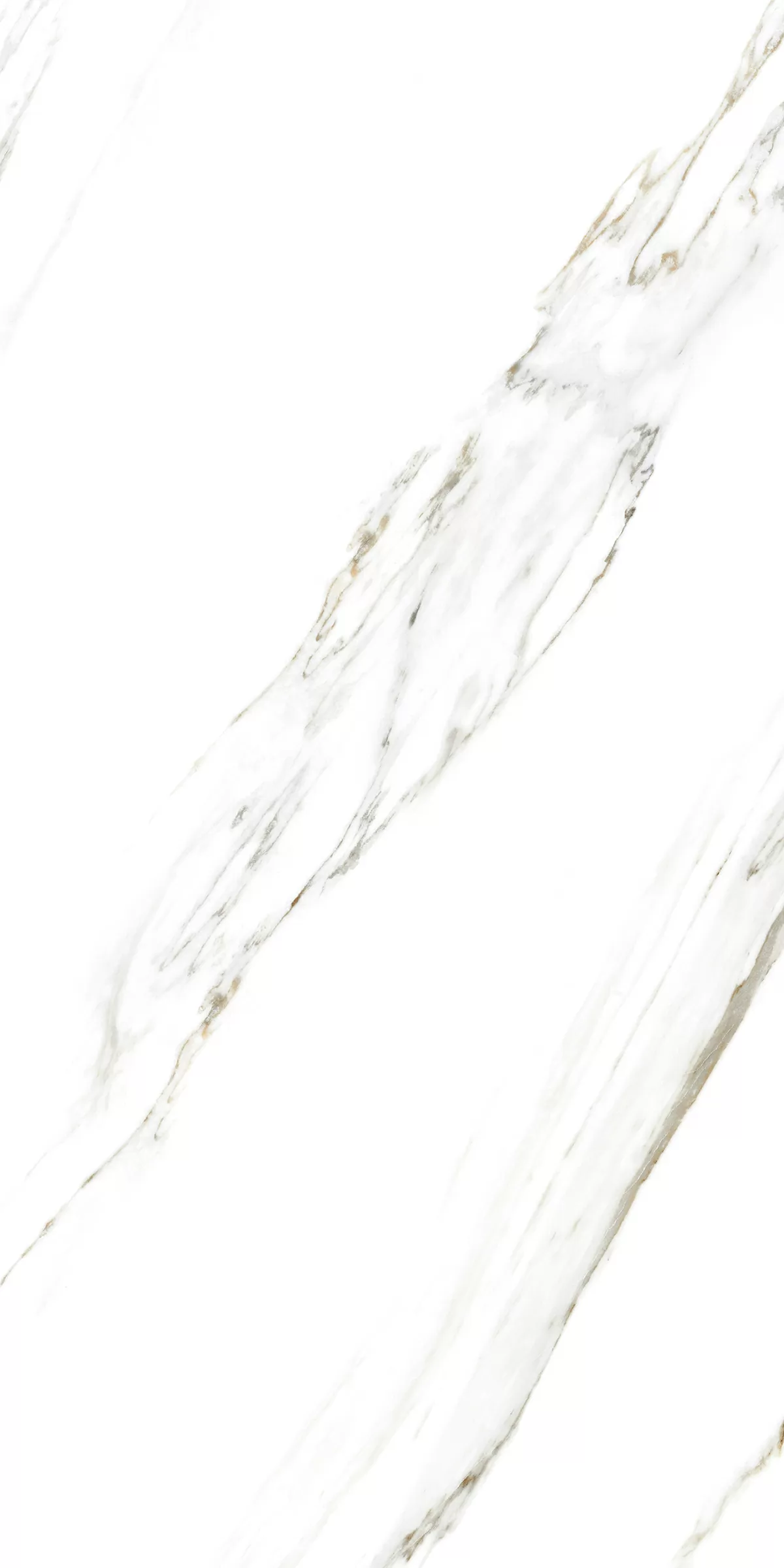 Керамогранит 885 Calacatta Caldia 120x60