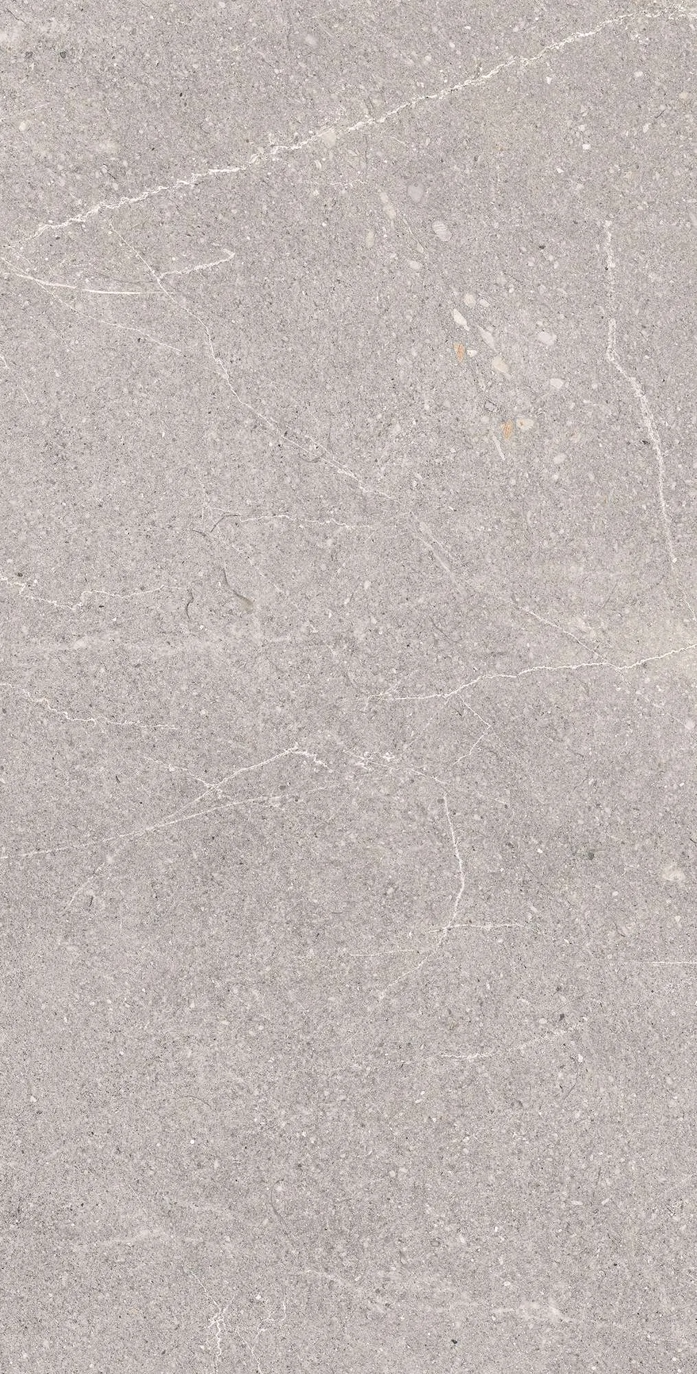 Керамогранит RG6001-A Equistone Gris Rotto Glossy Ink 60x120