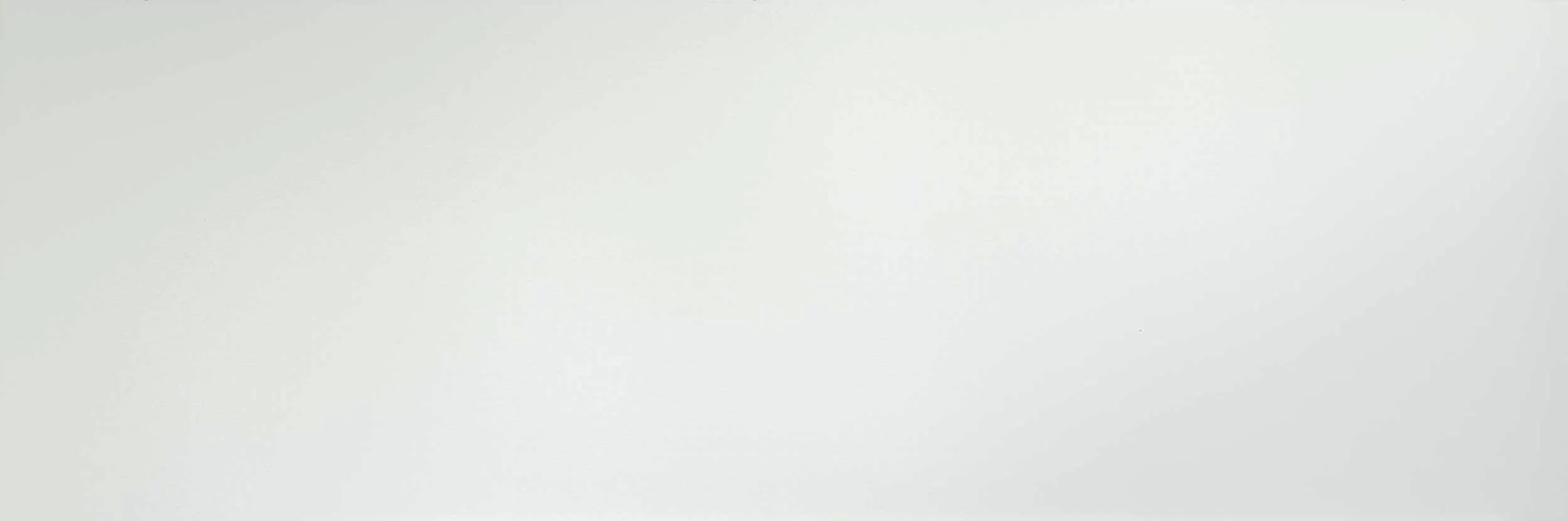 Керамогранит LAMF002879_IT Filo Brina 1000x3000x3.5
