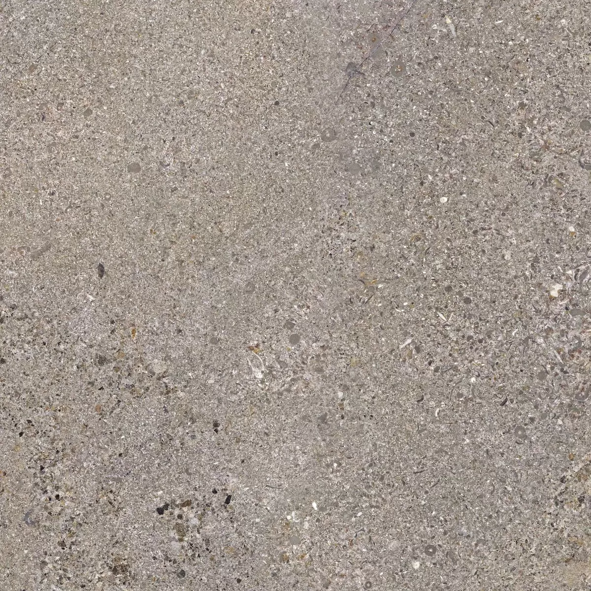 Керамогранит Terra Silver 60x60