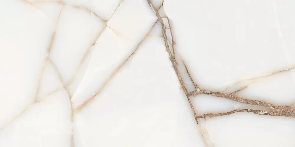 Керамогранит FAVORITE ONYX WHITE GLOSSY 60x120