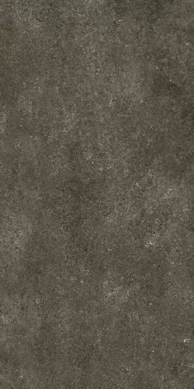 Керамогранит 768585 Sensi Brown Fossil Nat Ret 6mm 120x240