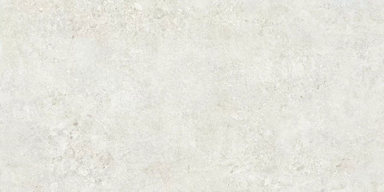 Керамогранит TZ612NTT9501L Terrazzo 60x120