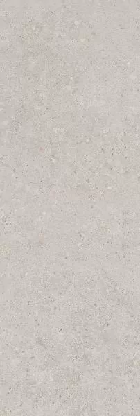 Плитка 14053R Риккарди серый светлый матовый обрезной 40x120