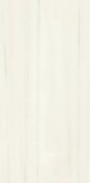 Керамогранит 03903 MAJESTIC PURE SUBLIME DOLOMITI N/R 60x119,5