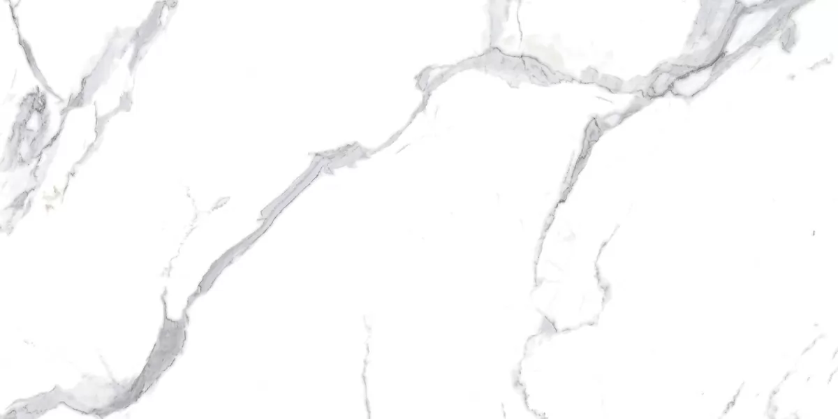 Керамогранит Calacatta Splendid Silver Белый Матовый 60х120