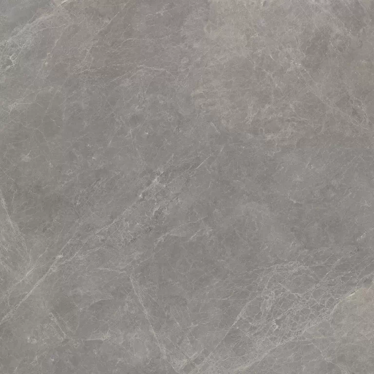 Керамогранит 100336888 Mystic Grey L 120x120