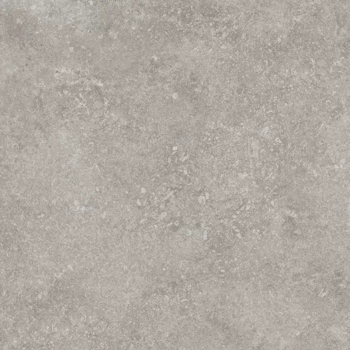 Керамогранит 100324749 Verbier Silver 59.6x59.6