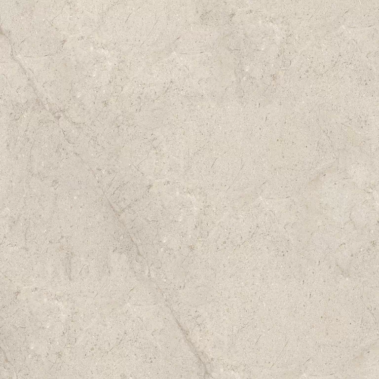 Керамогранит 100348020 Dorcia Bone L 120x120