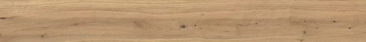 Керамогранит AX5U Log Icon Oak Forest Matte 20x180