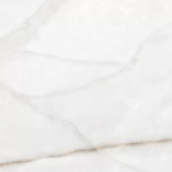 Керамогранит ESSENZA PW 60x60