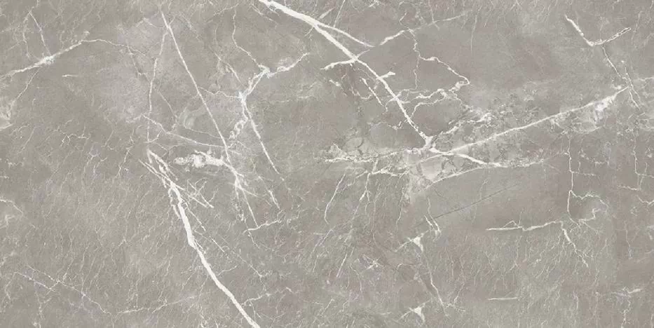 Керамогранит Charm Grey Polish 60x120