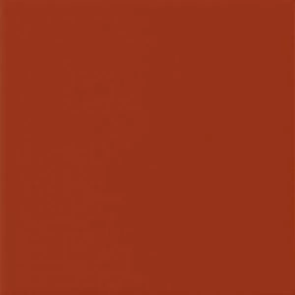 Плитка Arch. Rosso MJ29 20*20