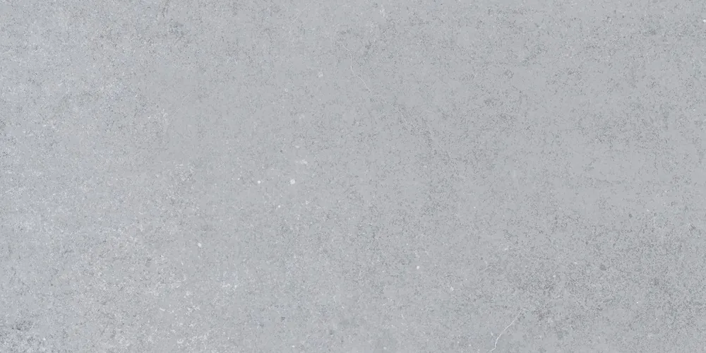 Керамогранит CN026012N Concrete Grey 60х120