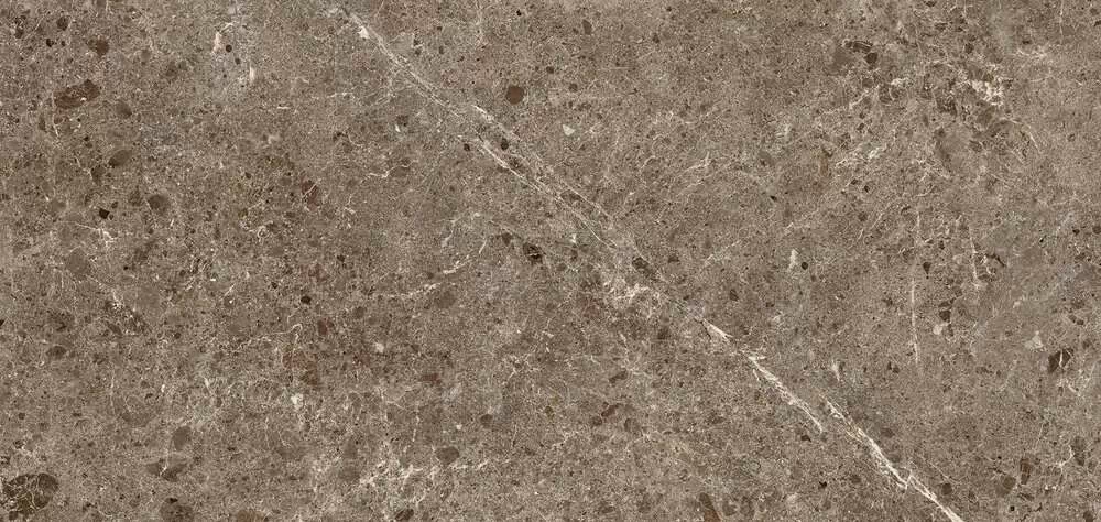 Керамогранит 78RC27P Coverlam Artic Moka Pulido 120x260