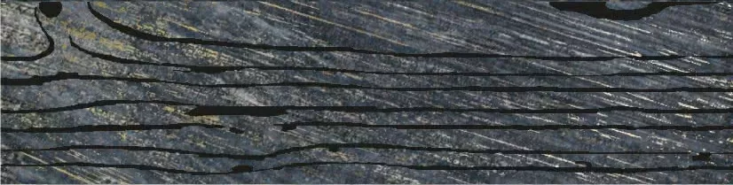 Керамогранит LACCHE LEGNI NERO 30x60 (комплект 2шт)