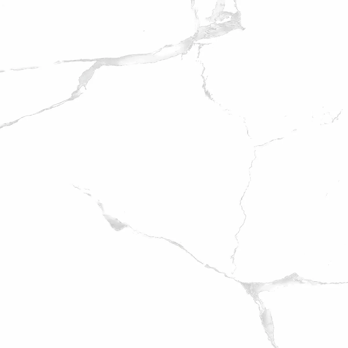 Керамогранит Silver white PGVT 60x60
