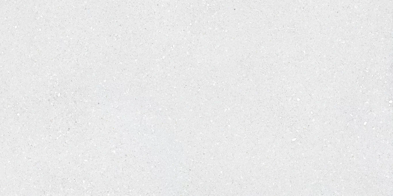 Керамогранит Sassy White Rec 60x120