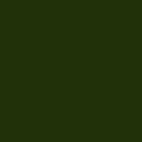 Плитка KINGDOM VERDE BOTELLA 20x20