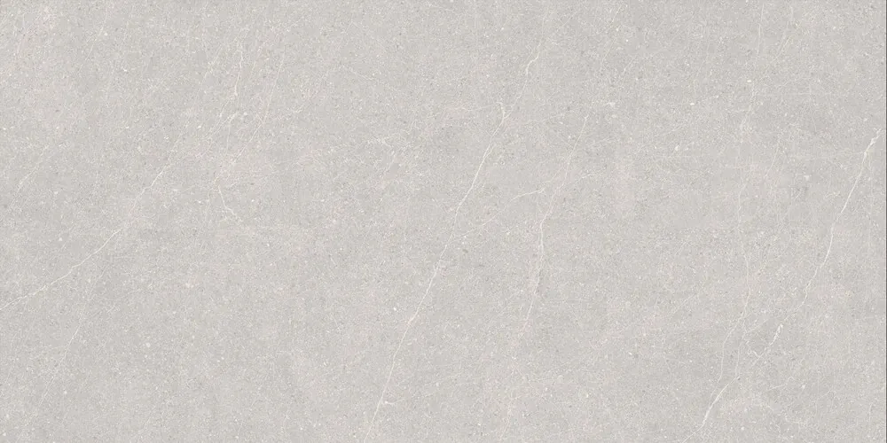 Керамогранит Elenta Ash Carving 60x120
