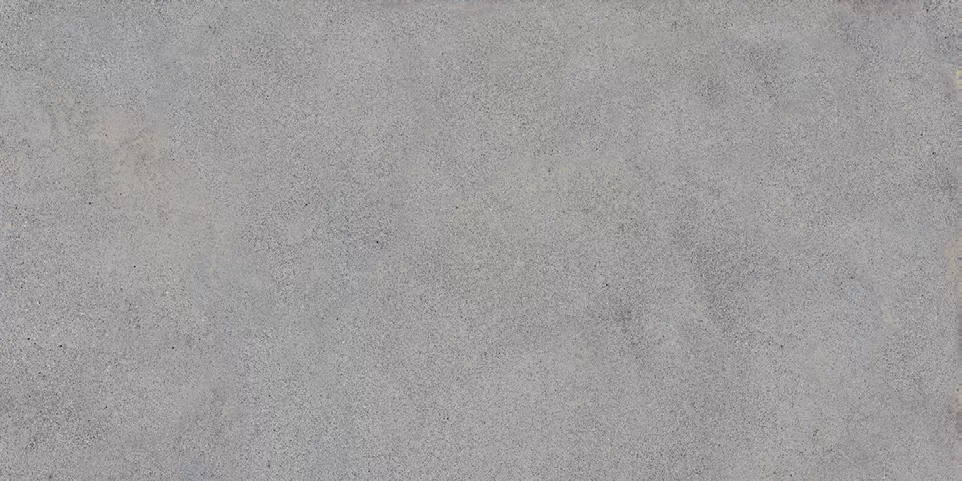 Керамогранит NR206 Elgon Grey 60x120