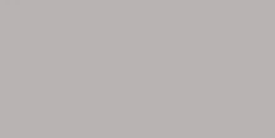 Плитка WAAMB010 CONCEPT PLUS Grey 20x40