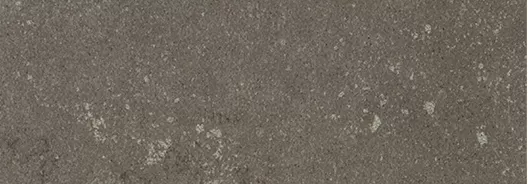 Керамогранит Buxy Cendre 300x100