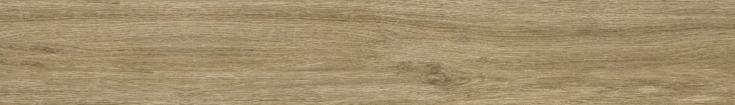 Керамогранит 00R06P13 Woodglam Naturale 10x70