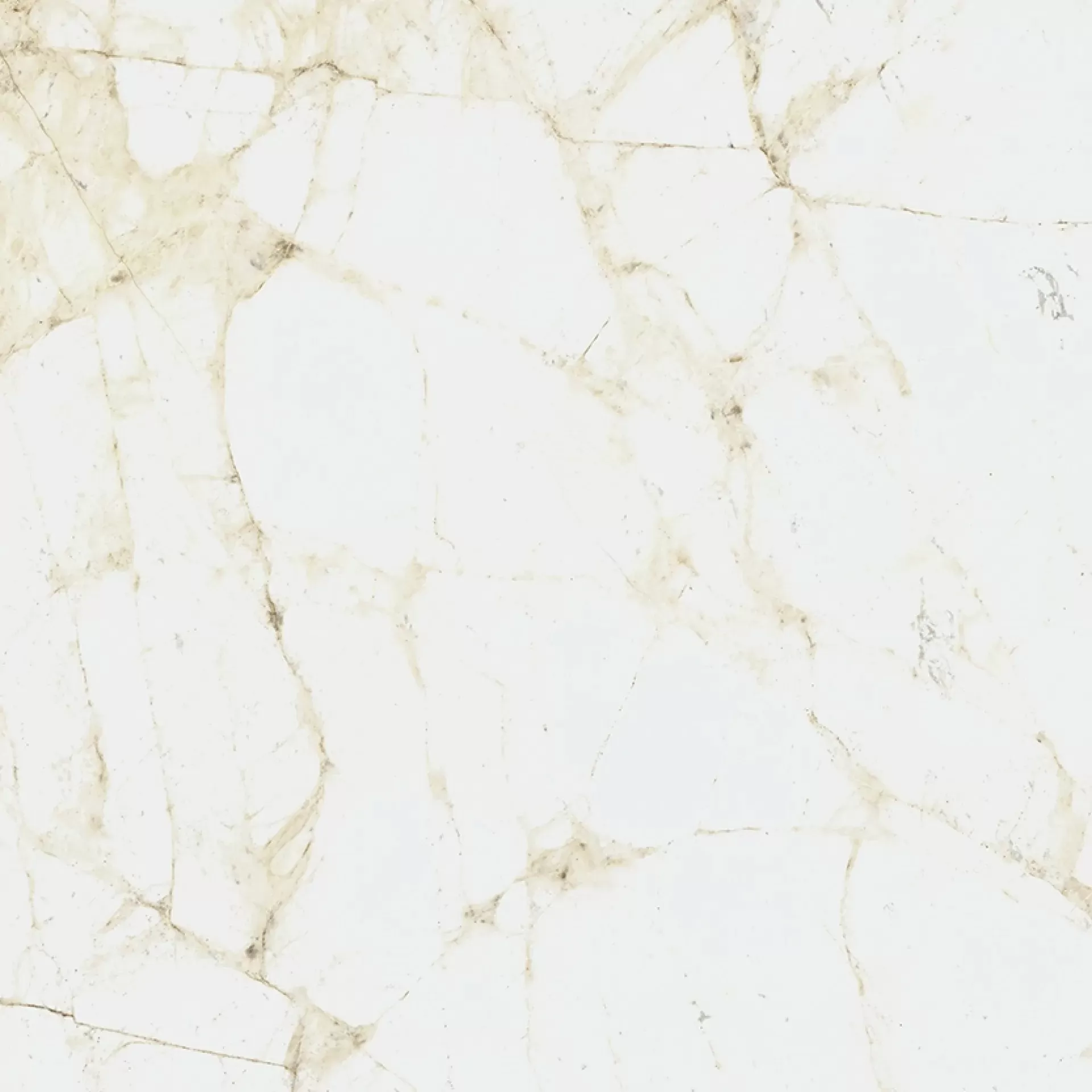 Керамогранит 610010005761 Canova White Ret 60x60
