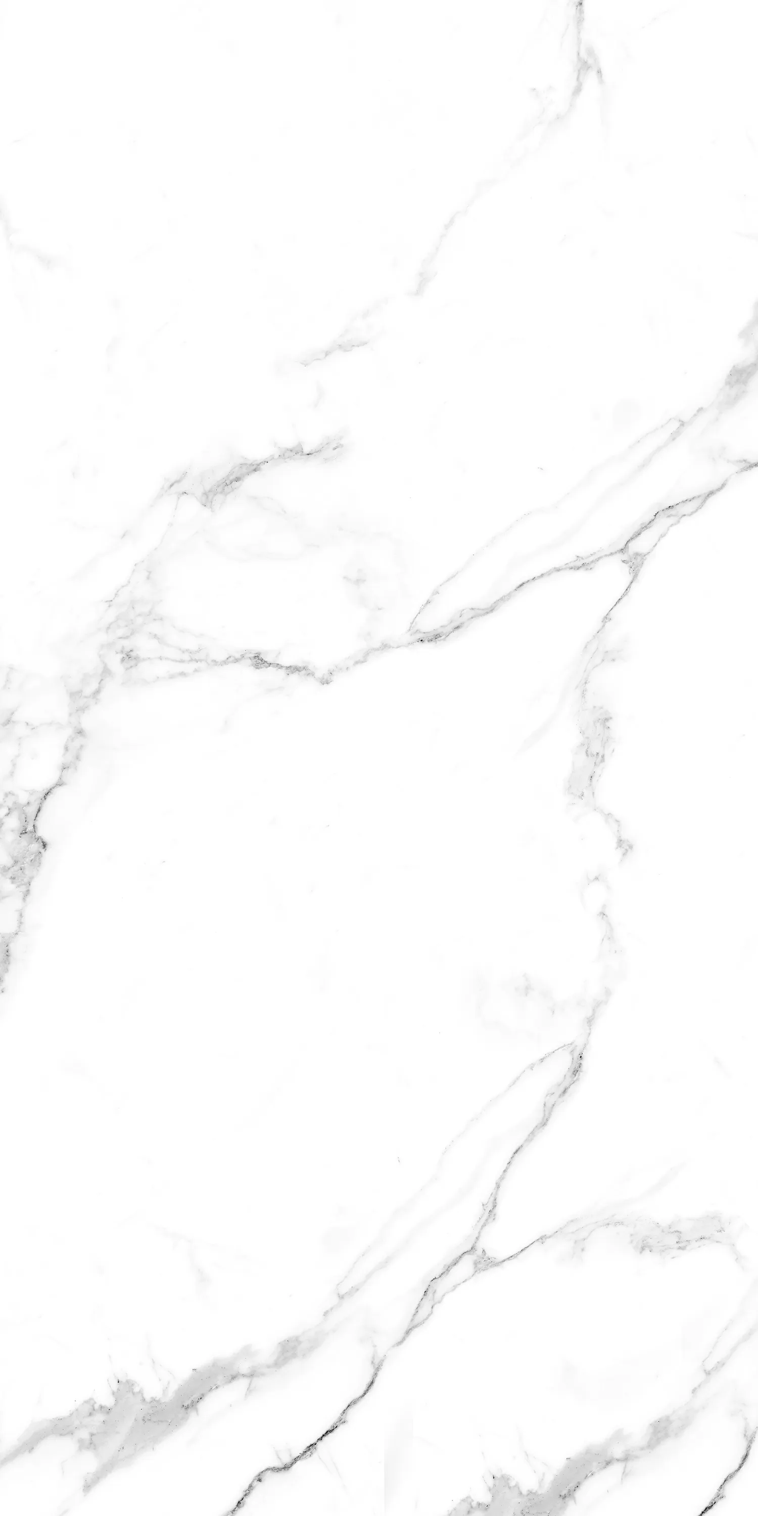 Керамогранит Caribbean White Glossy 60х120