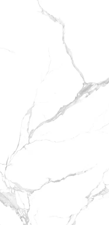 Керамогранит NTT3004P Bianco Carrara 120x240