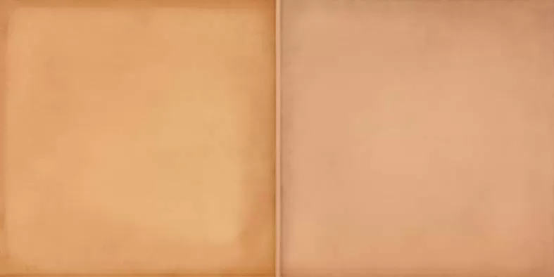 Плитка WARMB522 Retro Brick 20x40