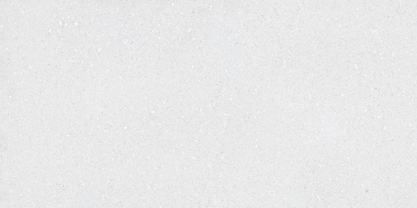 Керамогранит Sassy White Rec 60x120